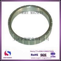 speical SmCo magnets for motors