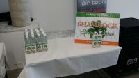 Shamrock Spring Water 24x500ml Pet