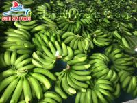Fresh cavendish banana origin Vietnam