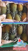 Fresh Pineapple