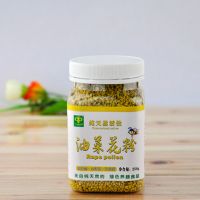Rape Bee Pollen Best Quality For Export