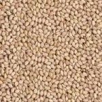 Seeds | Sesame Se...