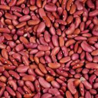 RedKidney Beans