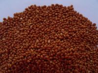 millet