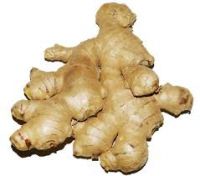 Fresh ginger