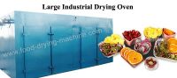Large hot air circulation drying oven