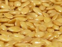 High Quality Golden Flax Seeds