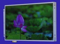 19-inch wide screen HD Picture Display