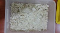 Gred C Bird Nest Malaysia Supplier 100% Authentic