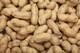 Cashew Nuts White Whole/ Split Cashew Nuts/ Cashew Kernels WW240/ WW320/ WW450/ WS/ LP/ SP 