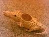 Rattan bottle with crocodile shape