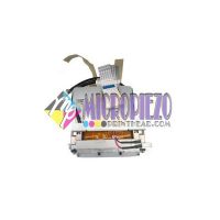 Emerald QE-256/30 AAA Printhead For Fujifilm Acuity LED 1600