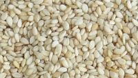 natural sesame seeds