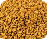 Fenugreek Seeds