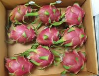 Fresh Dragon Fruit