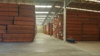 Mahogany from Brazil 12300 Cubic feet of grades A, B, C and D