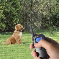 New Waterproof and Rechargeable Electronic Remote Dog Training Collars