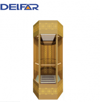 Safe and Comfortable Delfar Sightseeing Elevator with Good Quality