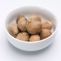 PINE NUTS FOR SALE
