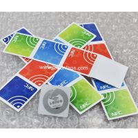 15x20MM Ntag213 NFC Tag with Number Engraved