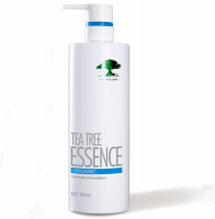 Professional tea tree oil high quality shampoo