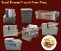 Small Frozen French Fries Plant