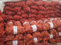 Export Quality Fresh Red & Yellow Onion