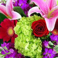 Designer Choice Ultimate Bouquet | Charlottesville Florist
