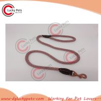 2017 Spring Hot Selling Braided Rope Dog Leash