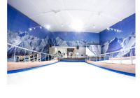 Professional ski simulator Indoor training for winter sports Ski and snowboard on Proleski infinite dry slopes