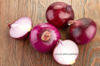 Fresh Red Onion