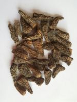 Dried Morchella(morels)