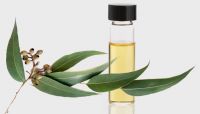 Melaleuca oil (Tea tree oil)