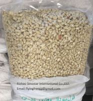 Blanched peanut kernel vacuum bags prompt shipment