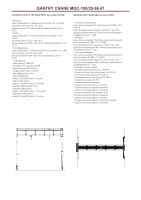 Gantry Crane MGC 100-25-56.47
