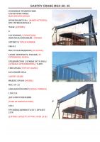 Gantry Crane MGC 50-25