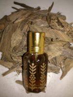 Oudh Tree (Agar Wood)