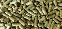 Alfalfa pellets