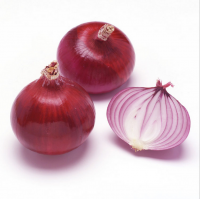 Fresh red Onion