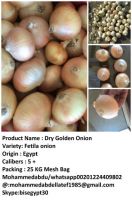 Golden fresh onion 