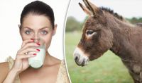 Donkey Milk