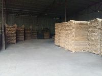 EUCALYPTUS SHRPPENED SUPPORTING POLE (+84987635199)