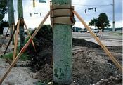 GARDEN STAKING POLE(+84 987 635 199)