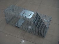 https://es.tradekey.com/product_view/Animal-Trap-Cage-1364907.html