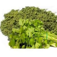 Coriander Powder