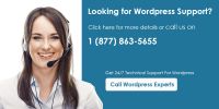 wordpress tech support phone number - 1 877 863 5655