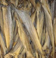 Tusk Dry Stock Fish Cod