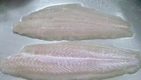 Well Trimmed Pangasius Fillet