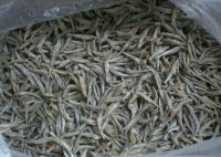 Dry dry anchovy fish For Sale