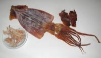 Dried Squid